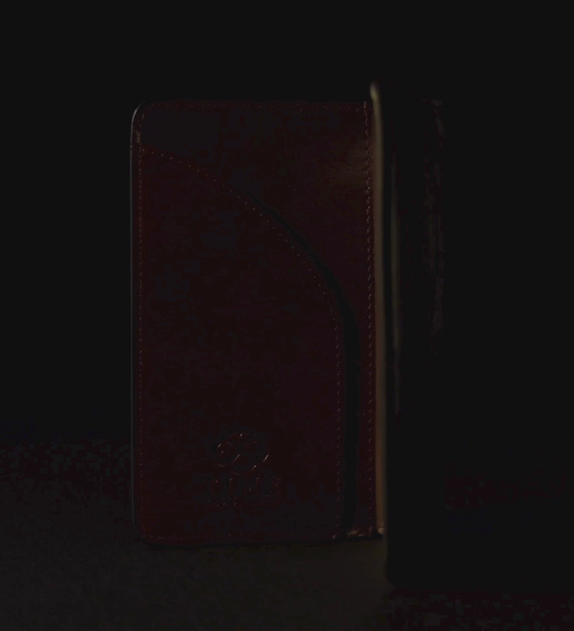 Small Leather Passport Holder for Women - Gulliver's Travels